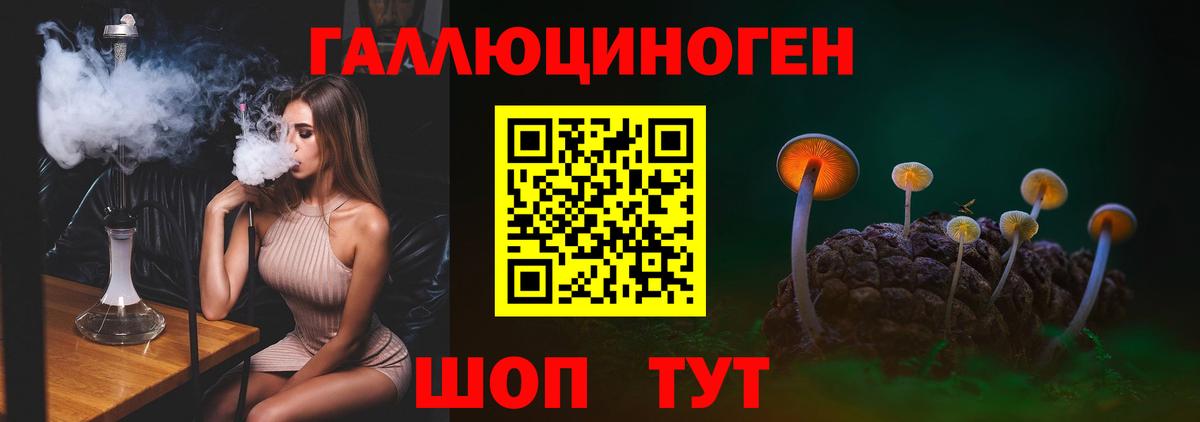 Галлюциногенные грибы Psilocybine cubensis Ртищево